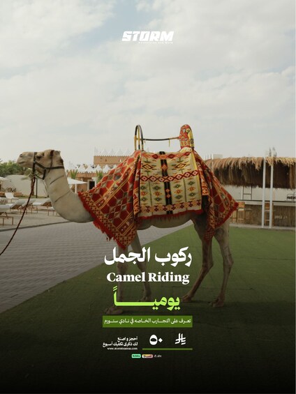 A camel with a decorated saddle in a leisure setting. 3