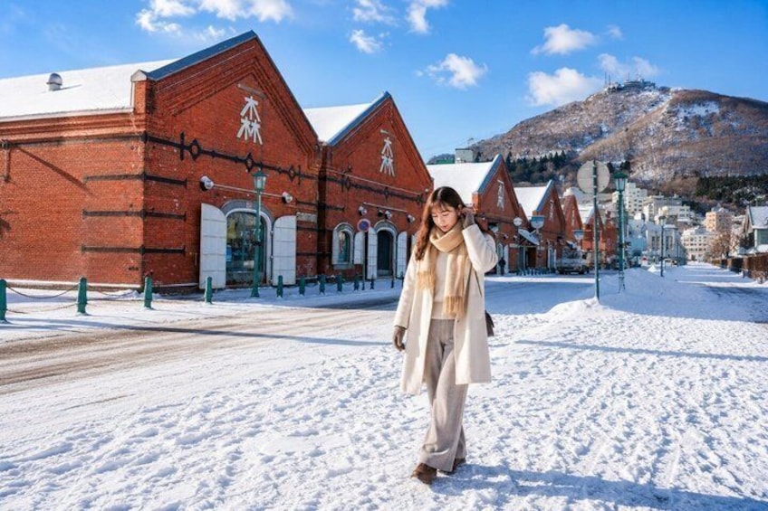 Hakodate Private Tour Historic District Goryokaku and Night View 1