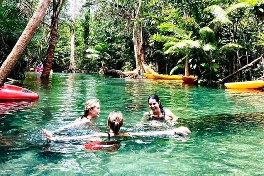 Three people swimming in a clear tropical pool surrounded by lush greenery and palm trees. 1