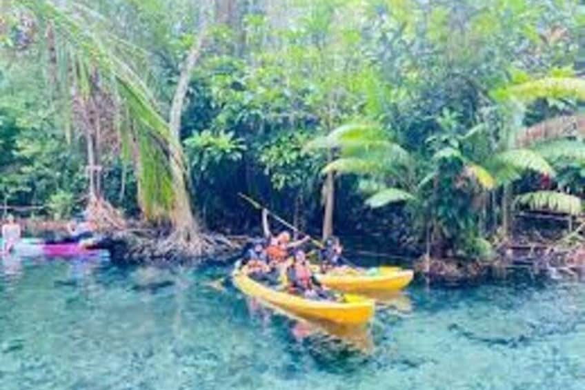 A river surrounded by dense tropical vegetation. 4