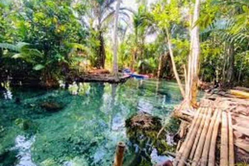 A clear pool surrounded by lush greenery and a wooden deck. 5