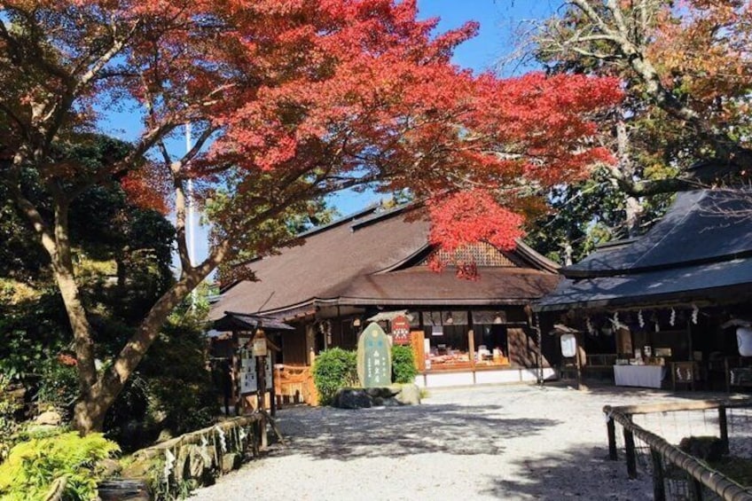Mount Yoshino Spring Blossom Private Tour from Osaka and Kyoto 5