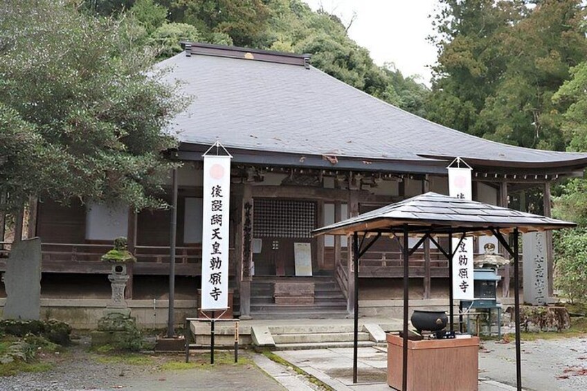 Mount Yoshino Spring Blossom Private Tour from Osaka and Kyoto 3