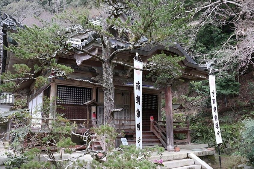 Mount Yoshino Spring Blossom Private Tour from Osaka and Kyoto 2
