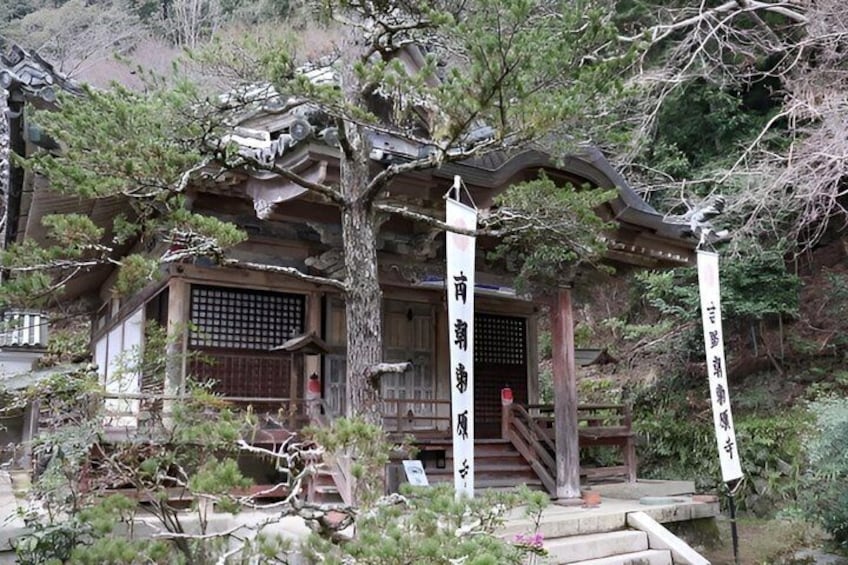 Mount Yoshino Spring Blossom Private Tour from Osaka and Kyoto 2