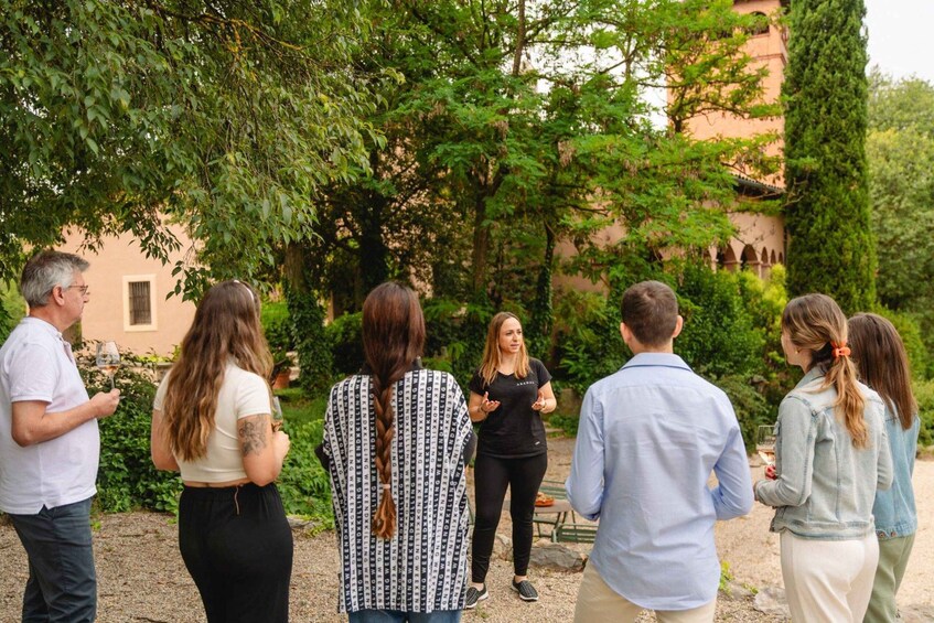 Picture 1 for Activity Barcelona: Abadal Winery Tour & Wine Tasting 3