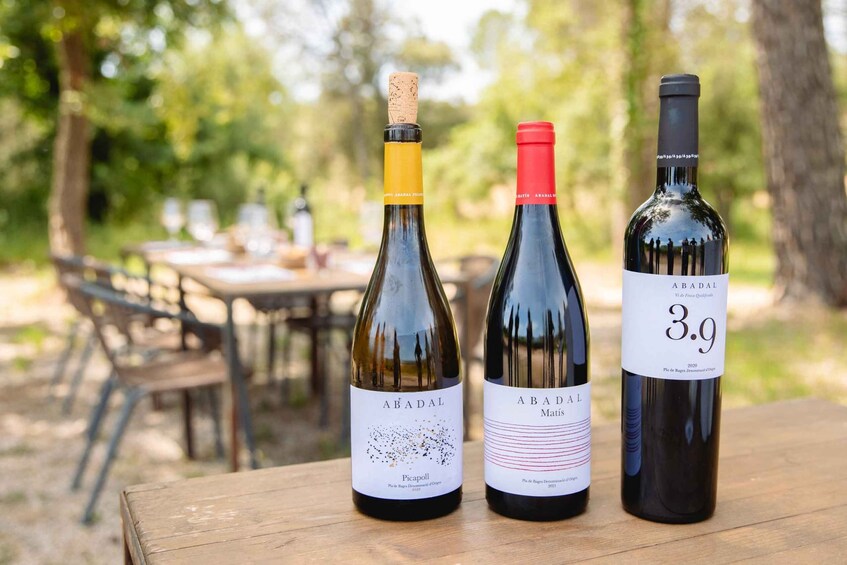 Picture 8 for Activity Barcelona: Abadal Winery Tour & Wine Tasting 5