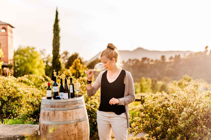 Barcelona: Abadal Winery Tour & Wine Tasting 1
