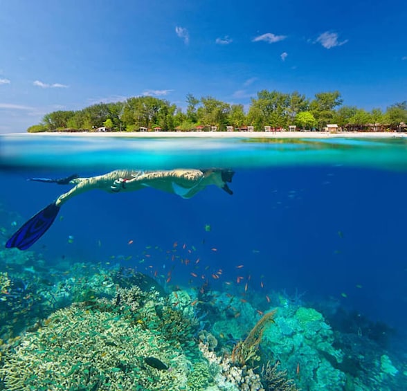 Explore 4 Secret Gilis of East Lombok with BBQ Lunch 1
