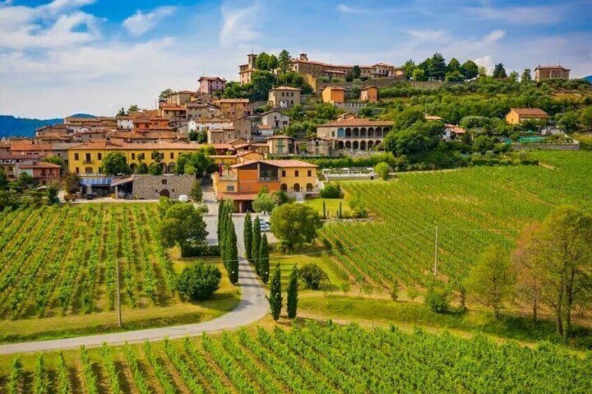 Franciacorta Wine Tasting at Camilucci Winery 3