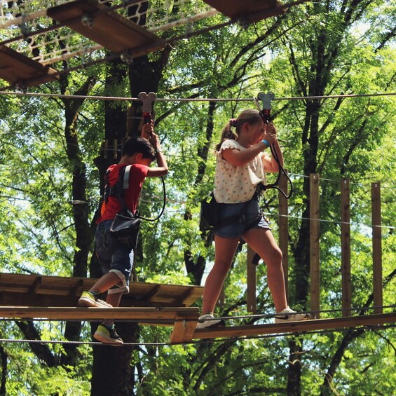 Picture 2 for Activity AccroCamp Angoulême Treetop Adventure Park Entry Ticket 3