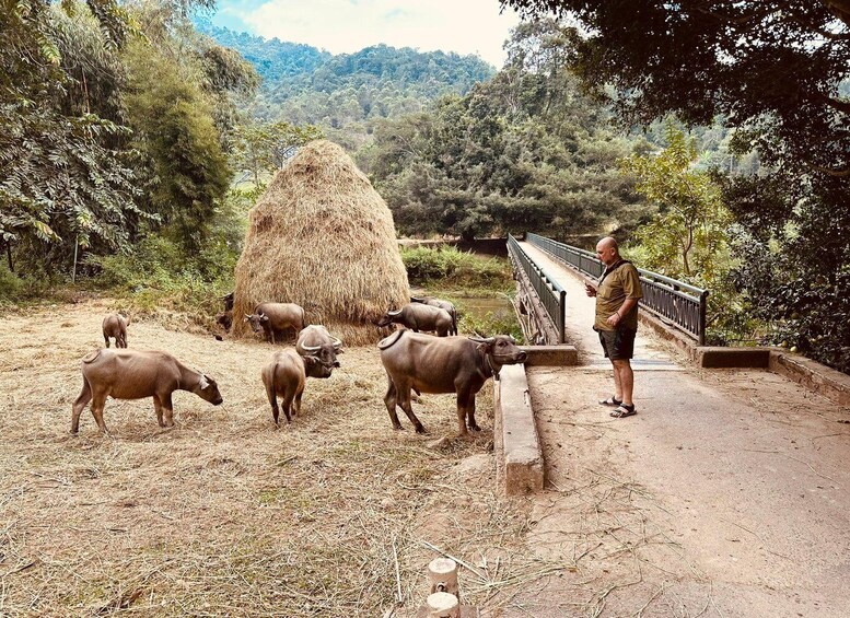 Picture 8 for Activity 3-Day Dien Bien Highlands Discovery Tour (Local Expert) 2