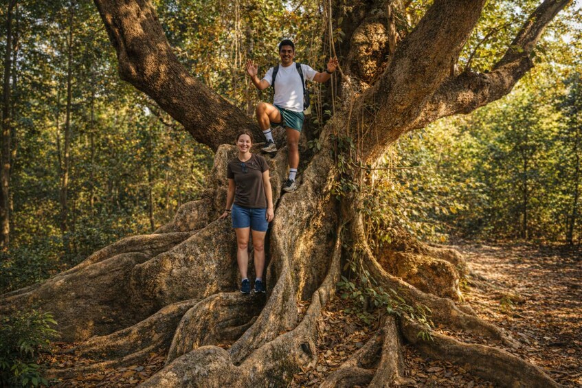 Two people standing on a large tree with extensive roots in a forest. 1