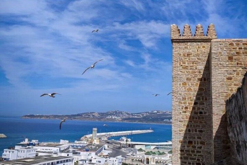 Half-Day Shared Tour from Tangier to Asilah with Hotel Pickup 3