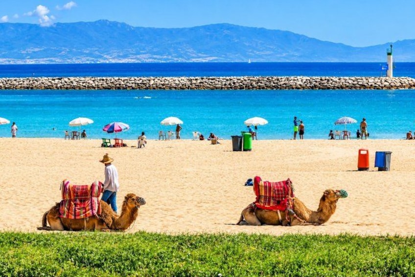 A beach with camels, people, umbrellas, and a lighthouse in the background. 5