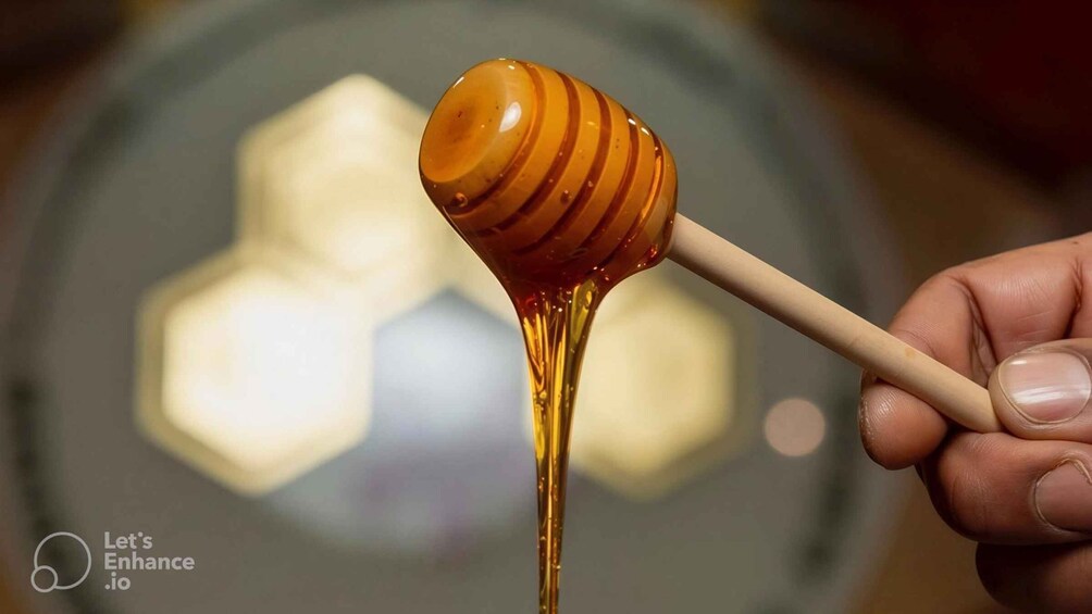 Picture 2 for Activity Al-Baha: The secrets of bees and honey in beekeeping tourism 5