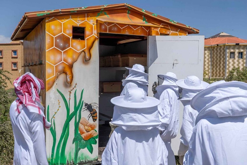 Picture 4 for Activity Al-Baha: The secrets of bees and honey in beekeeping tourism 3
