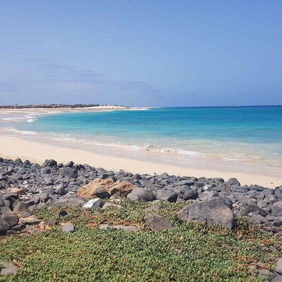 A beach with clear turquoise water, sandy shore, and rocky foreground with green vegetation. 1