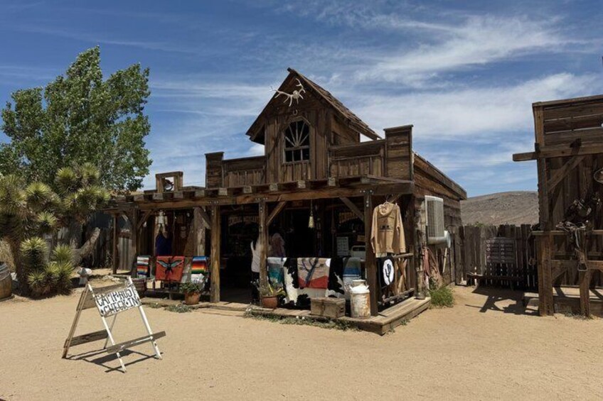 Private 1 Day Tour to Joshua Tree National Park 3