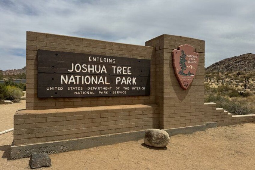 Private 1 Day Tour to Joshua Tree National Park 1