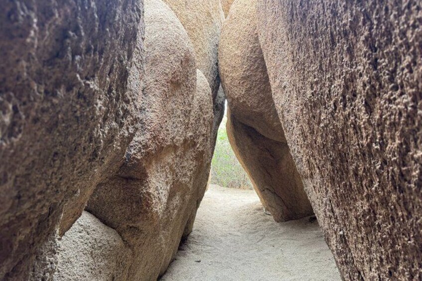 Private 1 Day Tour to Joshua Tree National Park 4