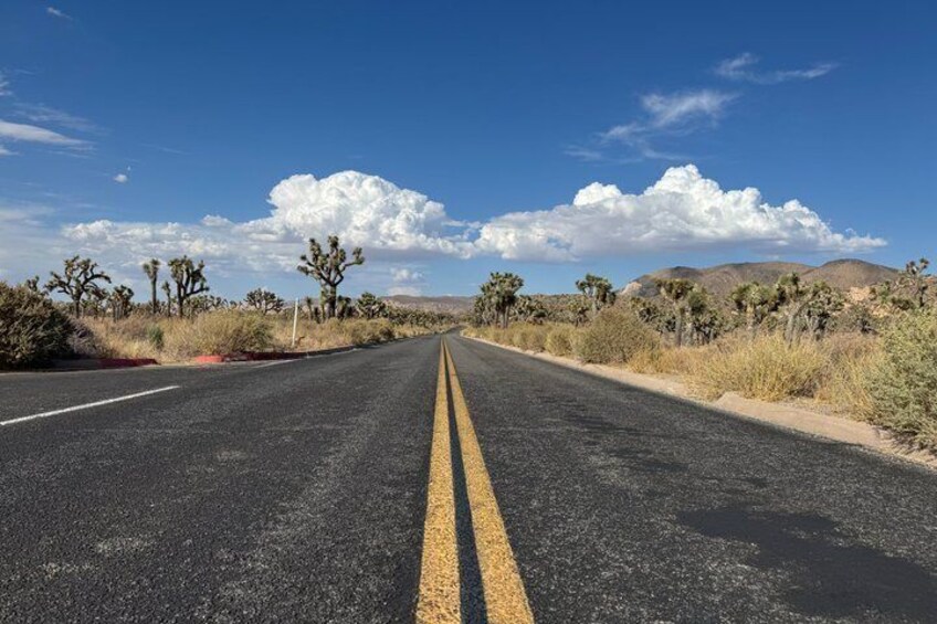 A road with double yellow lines, surrounded by desert vegetation and mountains under a clear sky. 2
