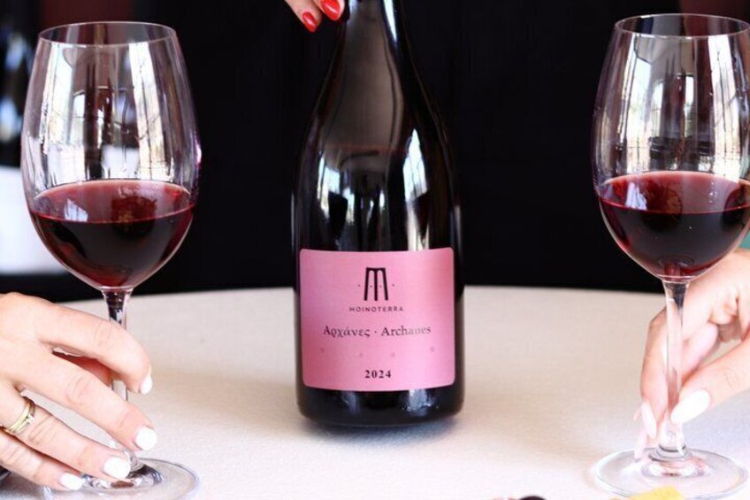 Moinoterra Winery Experience in Archanes 1