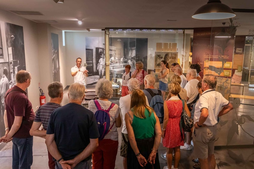 Picture 3 for Activity Aix-en-Provence: Guided visit of the Jardins du Roy and the Musée du Calisson 5