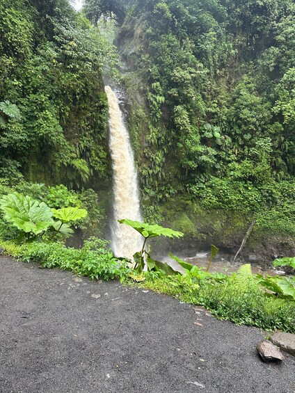 A waterfall surrounded by dense green foliage. 2
