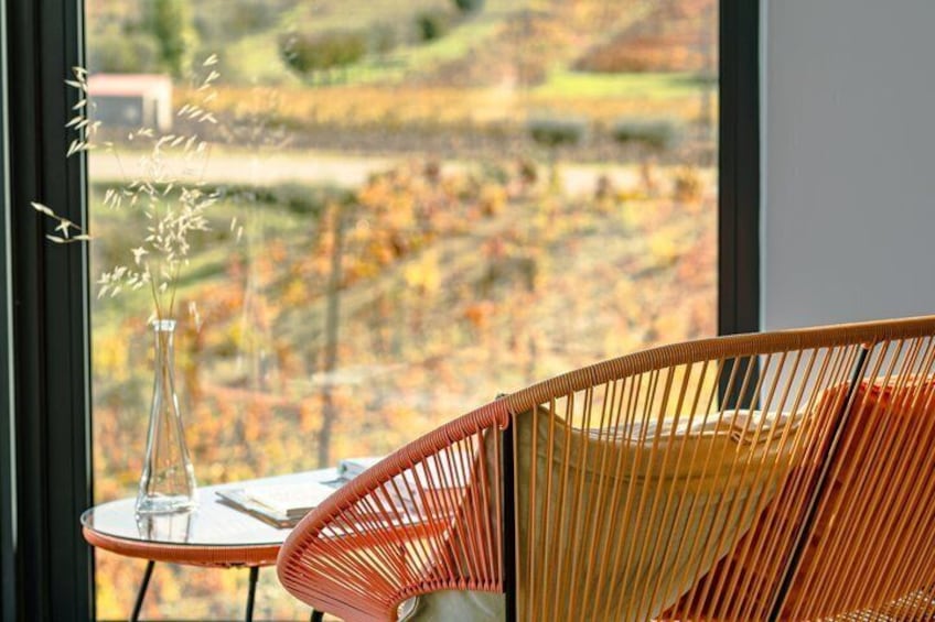 View and Taste of DOC Wine, Porto Wine and Aguardente Martha's 3