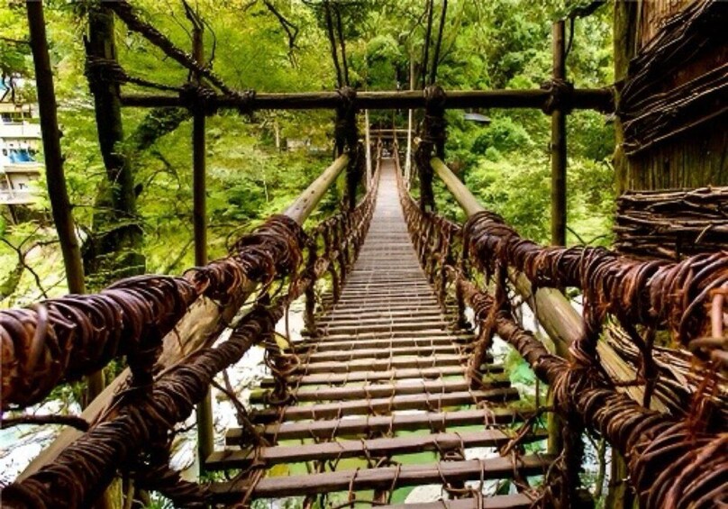 A wooden suspension bridge in a forest. 2