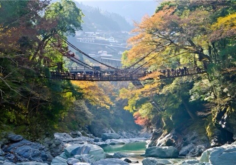 A suspension bridge over a river surrounded by autumn foliage. 3