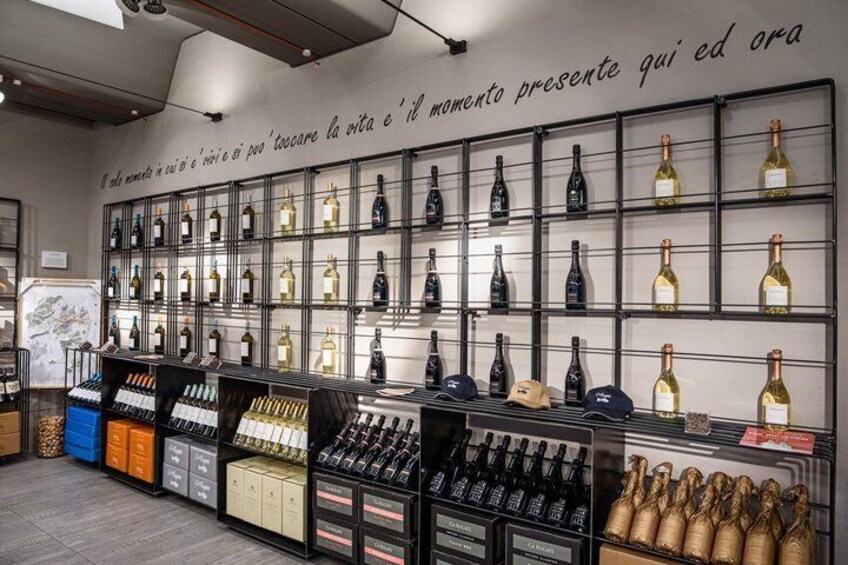 Authentic Experience Visit and Tasting between Soave and Valpolicella 3
