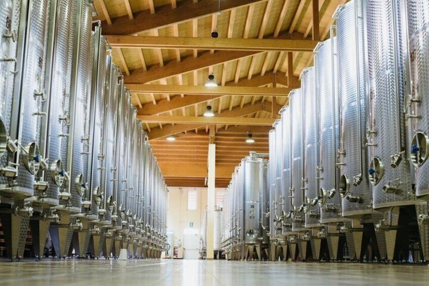 Authentic Experience Visit and Tasting between Soave and Valpolicella 1