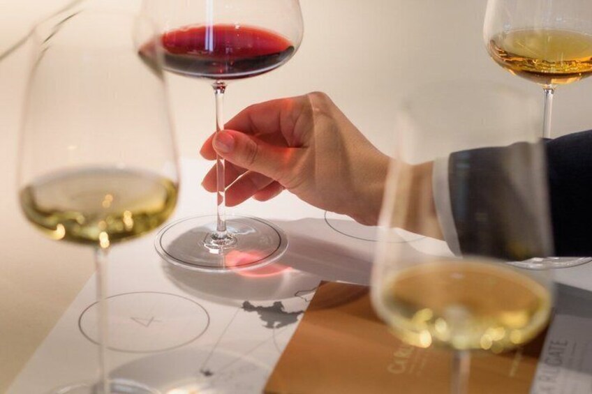 Authentic Experience Visit and Tasting between Soave and Valpolicella 5