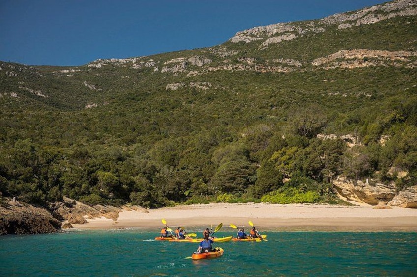 Kayak Marine Reserve, Arrábida Natural Park, Setúbal, near Lisbon 3