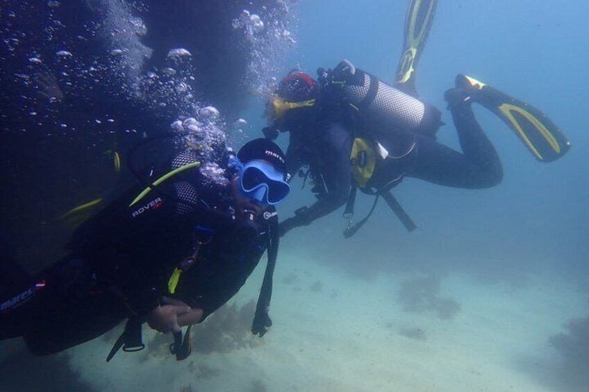 Try Dive Marine Reserve, Arrábida, Setúbal, Sesimbra, near Lisbon 1