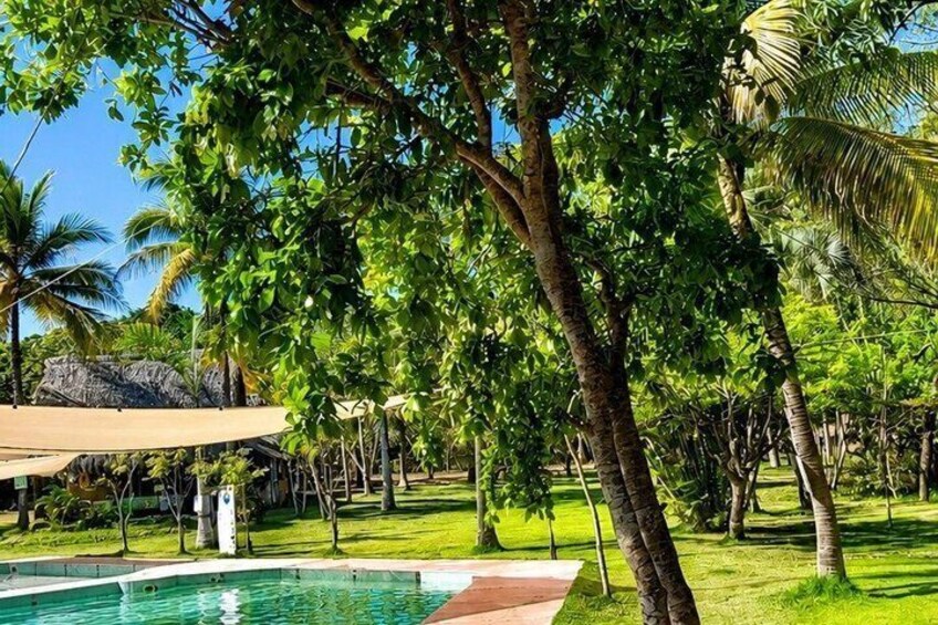 Hot Springs Tour from Chacala Nayarit with Flexible Hours 3