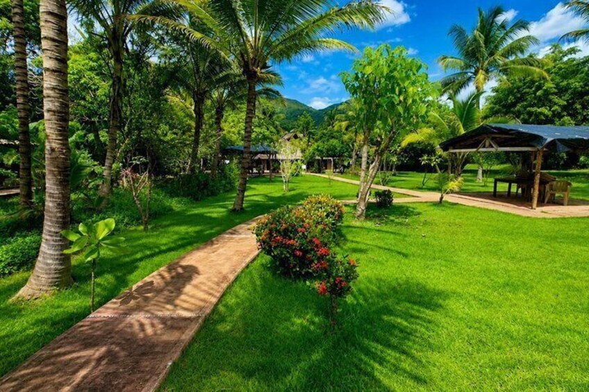 Hot Springs Tour from Chacala Nayarit with Flexible Hours 4