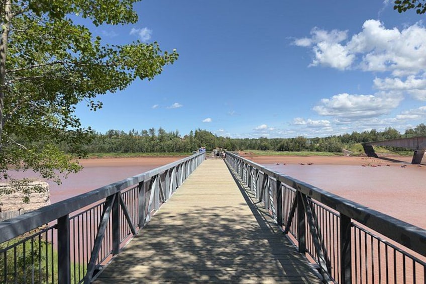 A wooden bridge with metal railings, leading over a body of water with a red-brown hue, surrounded by greenery and a clear sky. 4