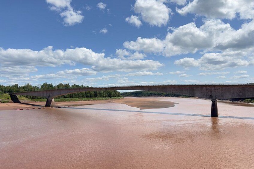 A river with a concrete bridge, a sandy beach, and a forest in the background. 3