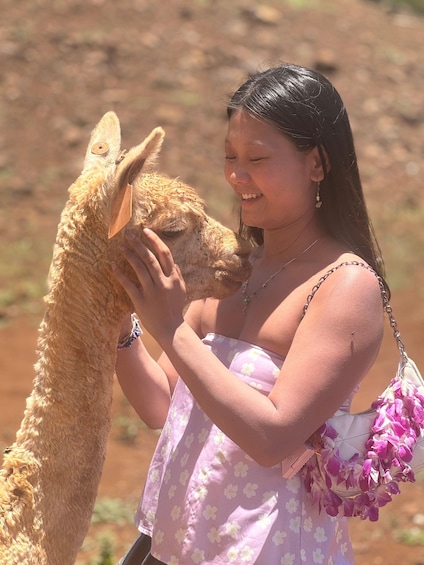 Picture 1 for Activity Maui: Dragonfruit Farm Tour with Alpacas & Fruit Tasting 2