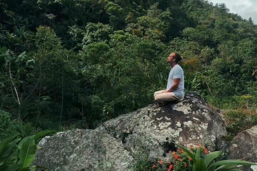 A person meditating on a rock surrounded by lush greenery. 2
