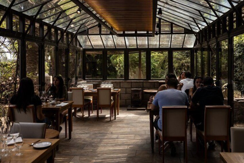 Full Day with Lunch Santa Julia Winery By Familia ZUCCARDI 4