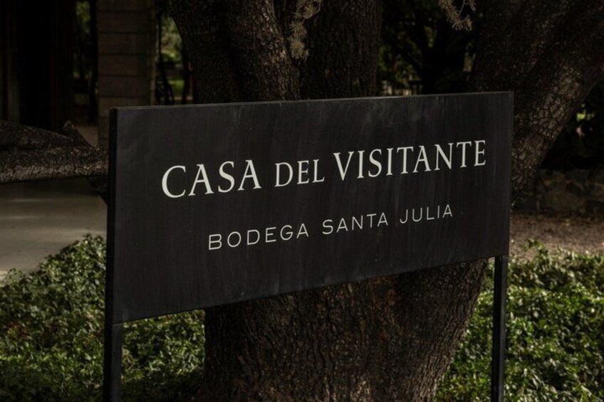 Full Day with Lunch Santa Julia Winery By Familia ZUCCARDI 3