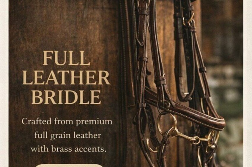 Equestrian Experience at Noble Horse Society 3