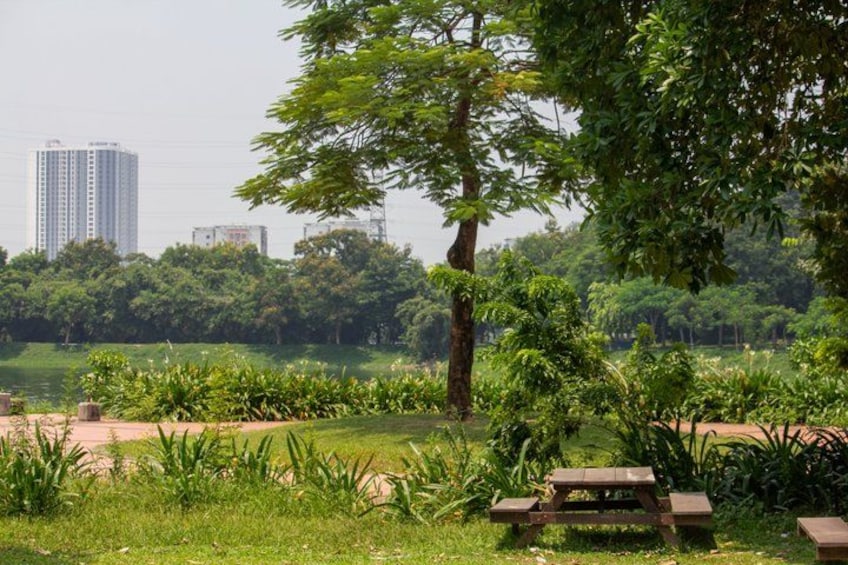 A park with a picnic table, lush greenery, and distant buildings. 4