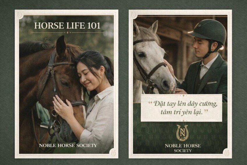 Equestrian Experience at Noble Horse Society 2