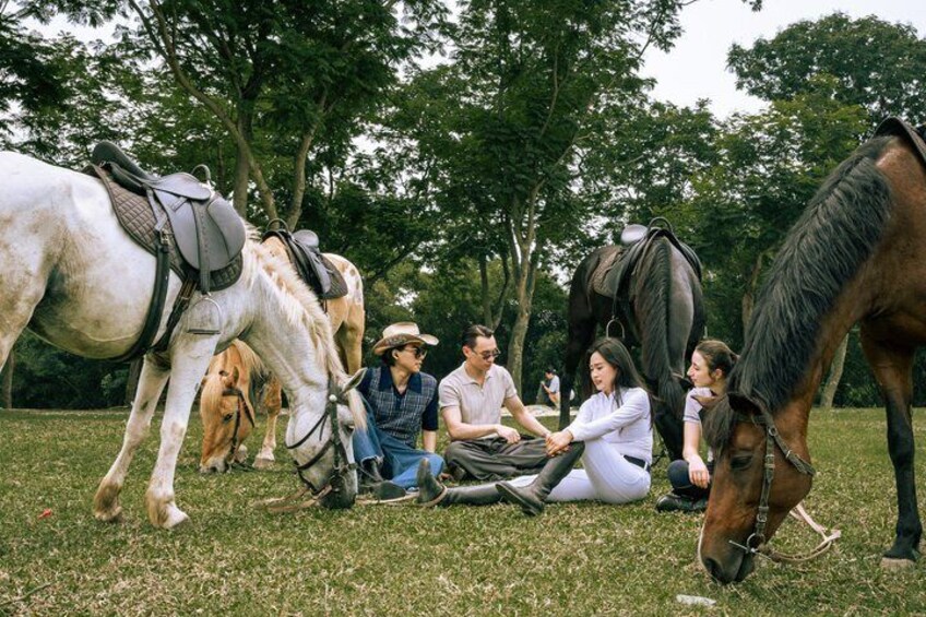 Equestrian Experience at Noble Horse Society 1