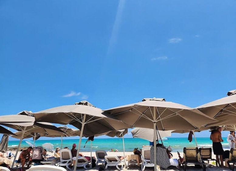 Picture 7 for Activity Miami Beach: Riu Plaza Pool and Beach Day Pass 3